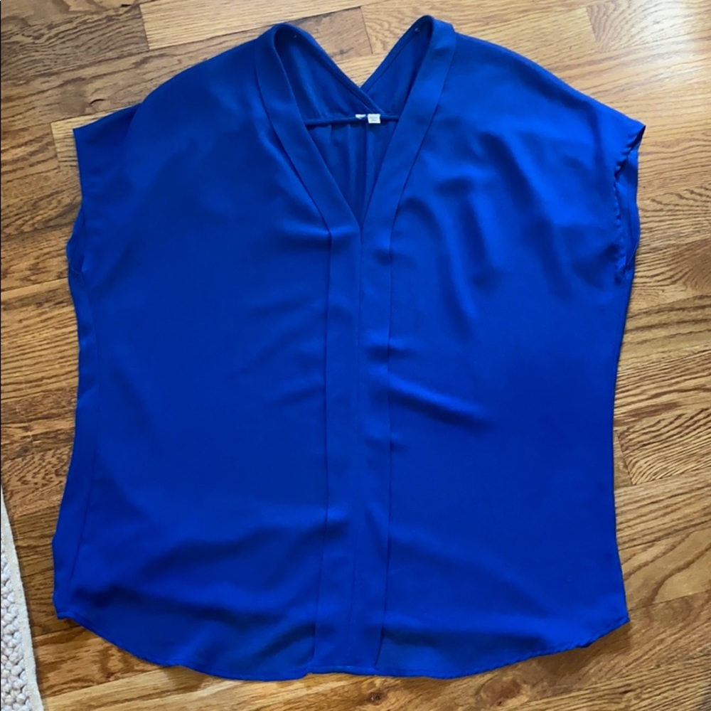 Blue sheer top